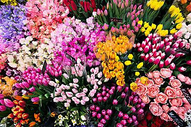 V社新VR头显设备专利曝光 或将与Quest竞争